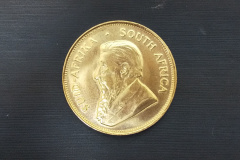 クルーガーランド金貨　1/2oz