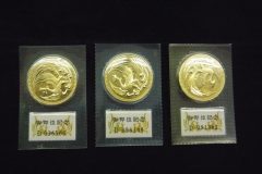 天皇陛下御即位記念10万円金貨