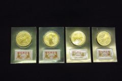 御成婚記念 5万円金貨