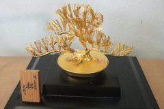 金の松